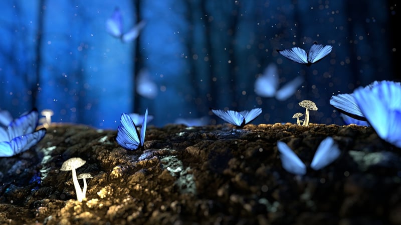 Enchanted Sceneries